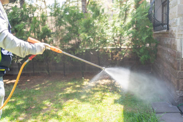 Best Bee and Wasp Removal  in Ladoga, IN